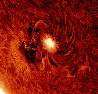 AR2529_Small.gif