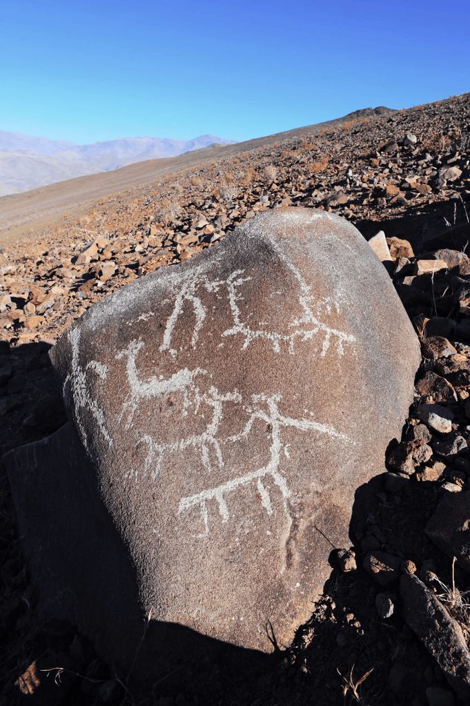 Petroglyphs depicting animals carved into a large rock, set against a desert landscape with rolling hills and a clear blue sky.